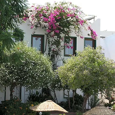 Hotell Bronze Gümbet