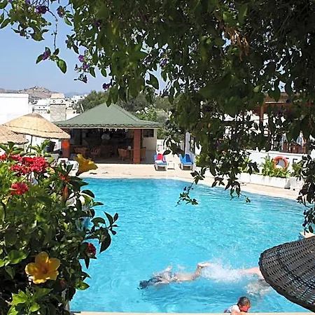 Bronze Gümbet